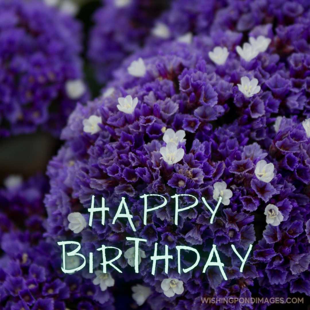 Beautiful image of a purple flower. Happy Birthday Purple Flower Images (2)